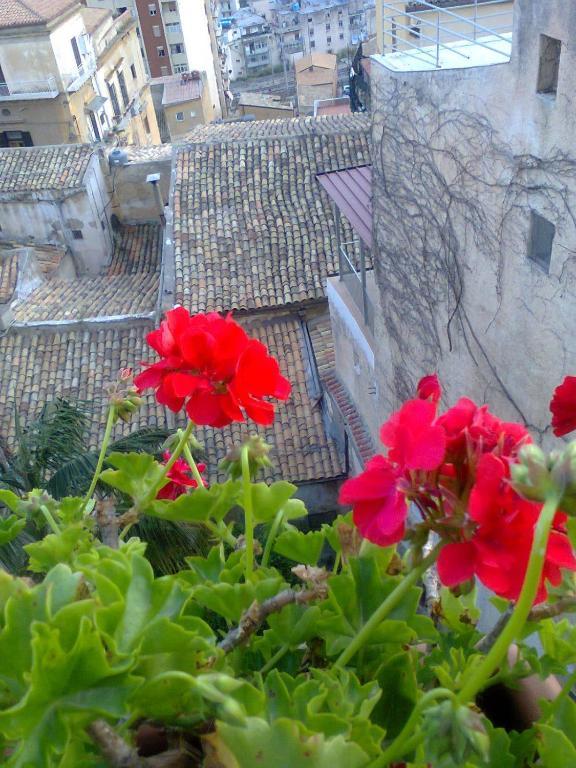 I Tetti Di Girgenti Panzió Agrigento Kültér fotó